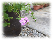 2016-10-25%e3%83%8a%e3%82%b6%e3%83%ac%e3%81%ae%e4%bc%9a-7